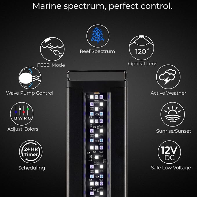 CURRENT USA 48 - 60" Inch Orbit Marine LED Saltwater Reef Marine Aquarium Light | 24 Hour IR Lighting & eFlux Wave Pump Control | Adjustable Color Spectrum for Fish Tank (4103)