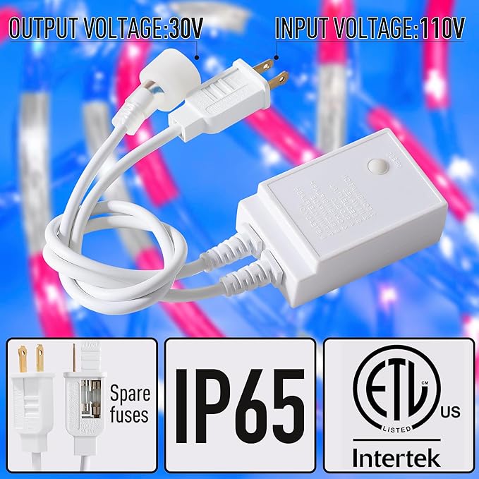 Waterproof LED Rope Lights, Connectable & Flexible with 8 Modes, Outdoor Lighting for Deck, Garden, Pool, Patio & Christmas Decor (Red/Blue/White, 20ft)