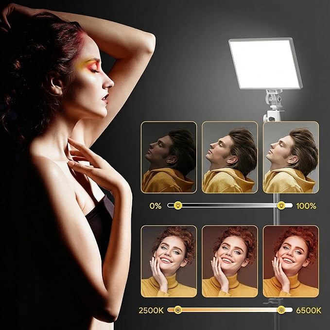 RALENO Led Video Light, Built-in 8000mAh Battery 2500-6500K CRI95+ 0-100% Brightness Adjustment on Camera Light, for Vlog Lighting Video Conference YouTube Studio Photography