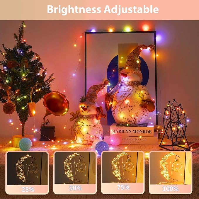 Ariceleo 1 Pack Warm White & Multi-Color Battery Operated String Lights, 5M/16.4ft. 50 LEDs Remote Control Timer 12 Modes Optional Twinkle Battery Powered Fairy Lights Sliver Wire Firefly Lights