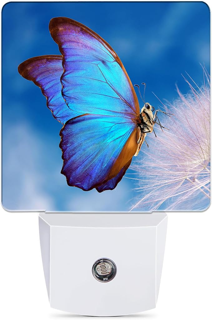 Blue Butterfly Night Light, Dandelion Night Lights Plug into Wall Decor for Bedroom, Bathroom, Hallway, Kitchen, Dusk to Dawn Sensor Nightlights for Girls Women Room Gifts