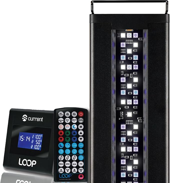 CURRENT USA 24-36" Inch Orbit Marine LED Saltwater Reef Marine Aquarium Light | 24 Hour IR Lighting & eFlux Wave Pump Control | Adjustable Color Spectrum for Fish Tank (4101)