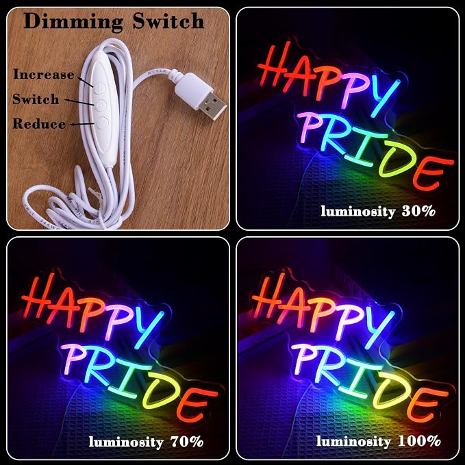 Happy Pride Neon Signs Colorful Letters LED Light up Pride Day Rainbow Neon LED Sign Gift for Transgender Pansexual Bisexual LGBT Gay Art Modern Lamp Decorative Lesbian Party