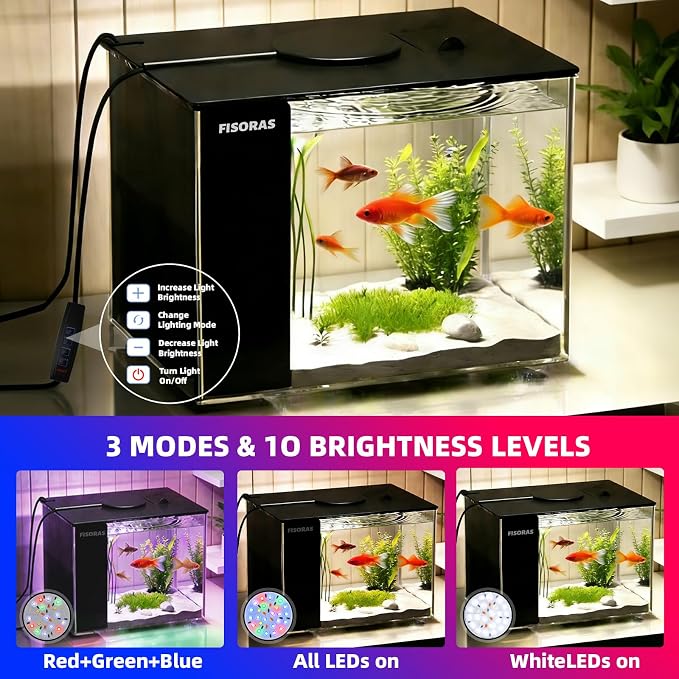 1Gal (3.7L) Small Aquarium Kit with Water Filter Pump and LED Light | Ideal for small fish