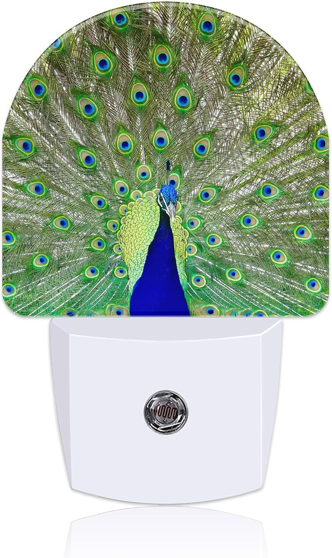 Peacock Night Light with Dusk to Dawn Sensor for Room Decor, Hallway, Kitchen, Bathroom, Nursery, Stairs