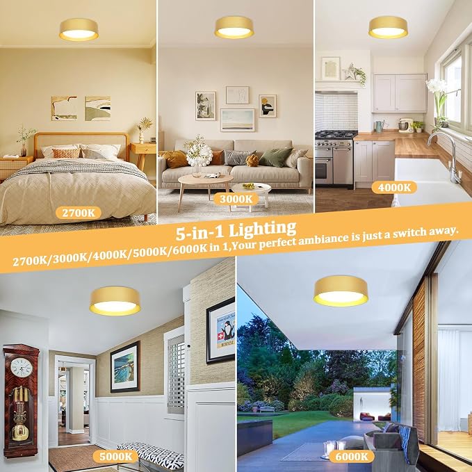 Flush Mount Ceiling Light, 16in Modern Ceiling Light 5 Color Temperature | 25W Bathroom Ceiling Light Fixture, 2600LM Dimmable LED Flush Mount Light for Bedroom, Hallway, Kitchen, Gold