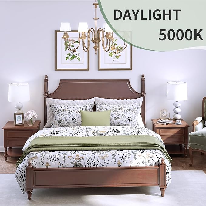 A19 LED Light Bulbs,60 Watt Equivalent Daylight 5000K with E26 Base,Efficient 9W,800 Lumens Non-Dimmable LED Bulbs,15000 Hours, Ideal for Bedroom Living Room, 4-Packs