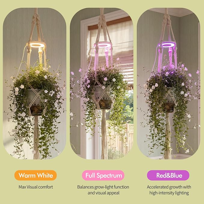 2 Pack Hanging Plant Grow Lights for Indoor Plants with Timer, Wall Mounted Full Spectrum Pendant Growing Light with Macrame Plant Hanger, Ceiling LED Planta Luz for Potted Plants Home Decor