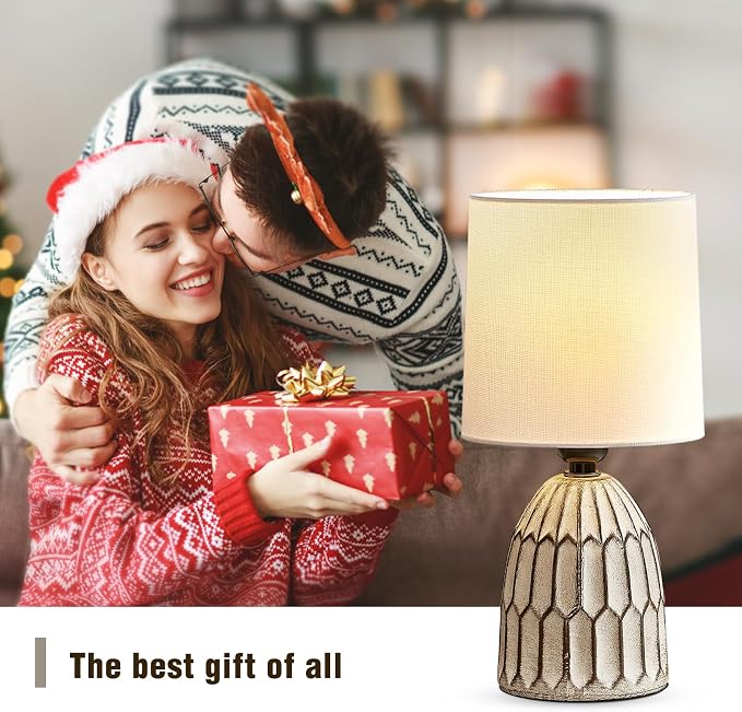 EJIAXIN Table Lamps Set of 2-13.5" Small Boho Lamp - Bedside Lamps - Farmhouse Rustic Ceramic Table Lamp for Bedroom, Living Room, Nightstand, Office, Side Desk Lamp, End Table Lamp