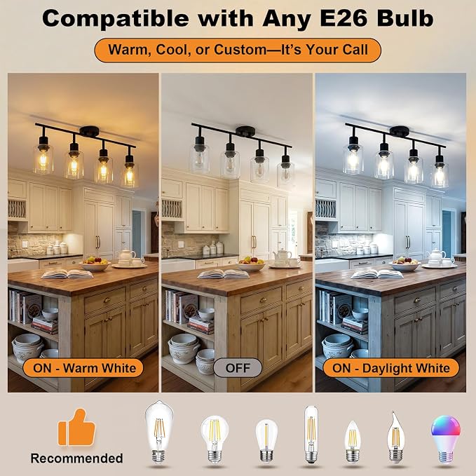 HiBay 4-Light Black Track Lighting Fixture Rotatable Ceiling Wall Spotlight | Adjustable 4 Heads with Glass Shades, Modern Farmhouse Industrial, for Kitchen, Dining Room, Bathroom, E26 Base