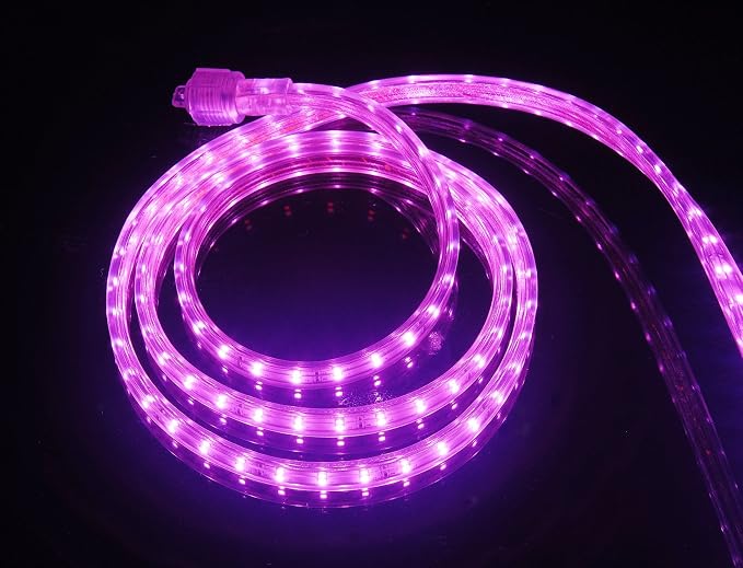 UL Listed, 3.3 Feet, 360 Lumen, Pink, Dimmable, 110-120V AC Flexible Flat LED Strip Rope Light, 60 Units 3528 SMD LEDs, Indoor Outdoor Use, Accessories Included, Ready to use