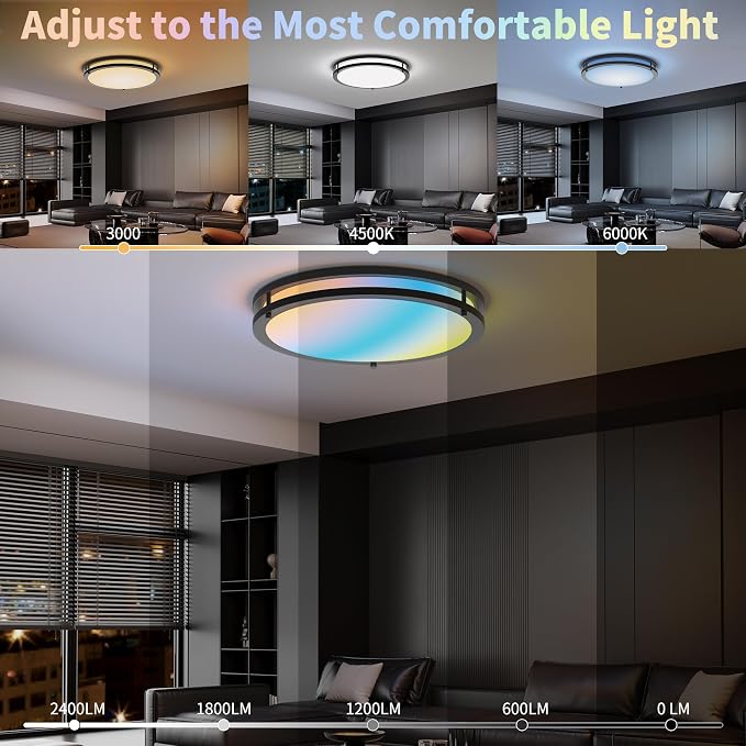 Ceiling Lights Flush Mount with Remote: LED Black Ceiling Lighting 8 Modes Dimmable Color, Adjustable Temperature for Bedroom, Living Room, Kitchen (16 Inch)