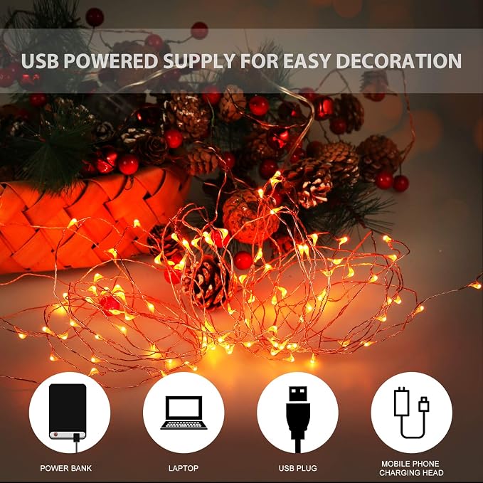 Ariceleo Halloween USB LED Fairy String Light, 1 Pack Copper Wire Fairy Lights for Indoor, Bedroom Festival Christmas Wedding Party Patio Decorative Window with USB Interface (32ft./10M,Orange)