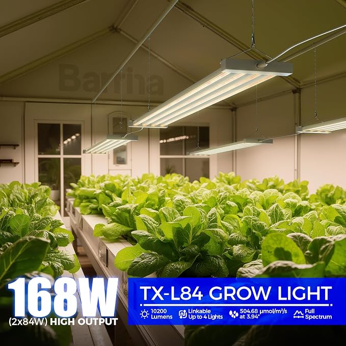 Barrina TX-L84 4FT LED Grow Light, 168W (2 x 84W), 4 Panels Wider Coverage | Full Spectrum with 730nm IR LEDs, High PPFD, Linkable to 4, Hanging for Plant Lights Indoor, Greenhouse, Seeding, 2 Packs