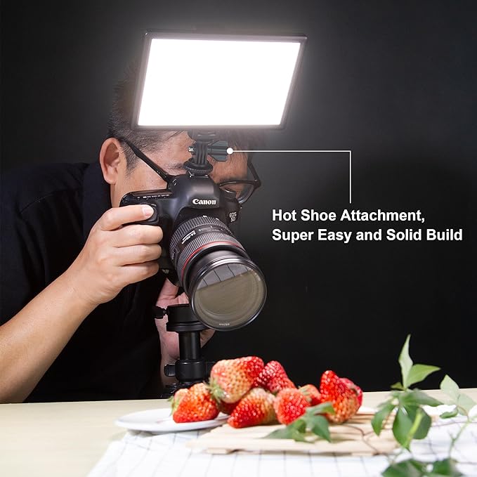 VILTROX 15W LED Video Light Panel, 3300K-5600K On Camera Light, Super Thin Key Light Panel with NP-F550, Led Photography Lighting CRI95+ for Studio Photography Video Recording Live Streaming （L116T