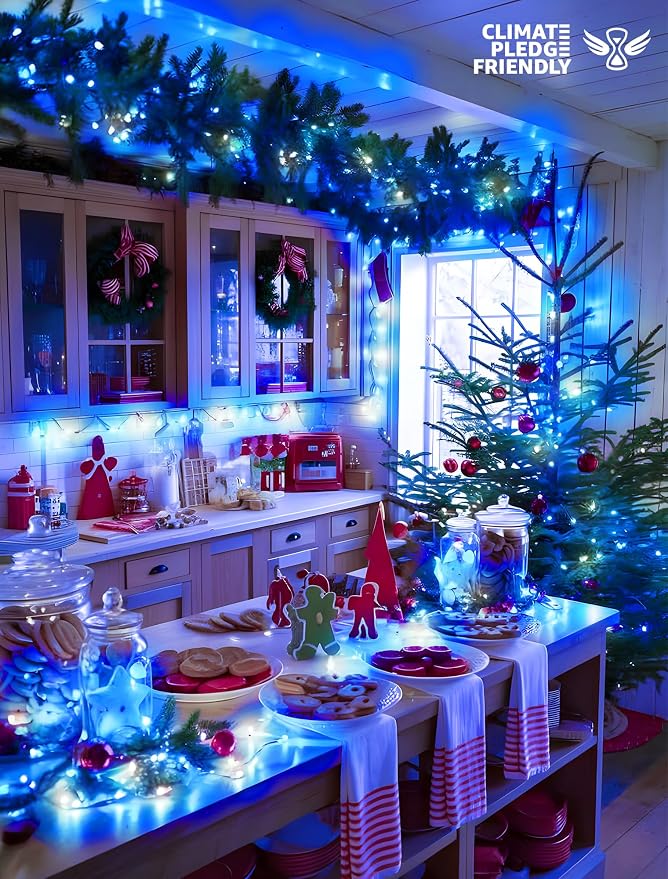 33FT 100 LED White Blue Christmas Fairy Twinkle String Lights Indoor | 8 Modes with Memory, Connectable, IP65 Waterproof, Transparent Wire, Up to 5 Sets, Widely use for Classroom, Bedroom, dorm