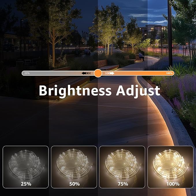 100ft LED Rope Light with Remote 8 Modes Strip Lights with Timer & Memory 5.5mm Large Diameter Twinkle Lights for Wedding Garden Christmas Halloween Bedroom Patio Decorations (30M, Warm White)