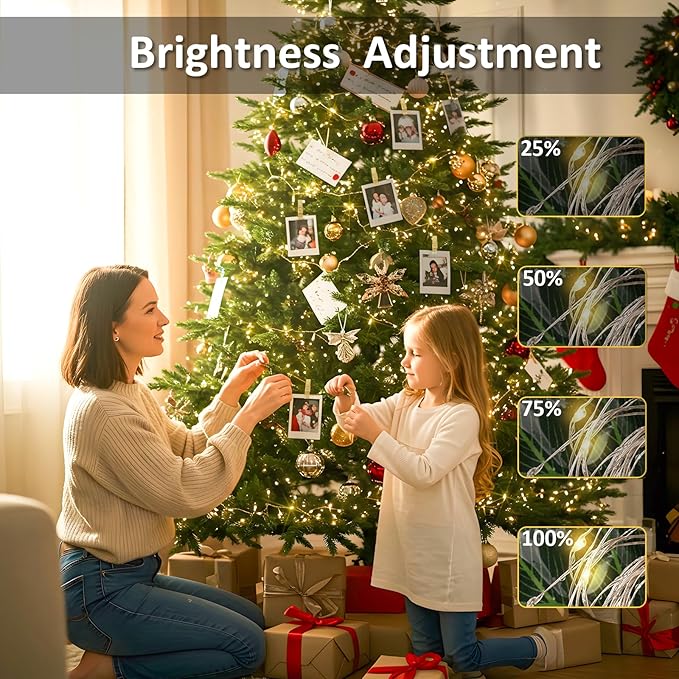 16ft 50 LED Fairy Lights for Pictures,Photo Clip String Lights | Remote USB Powered & Battery Operated,22 Clear Clips, Party, Bedroom, Decoration, Warm White