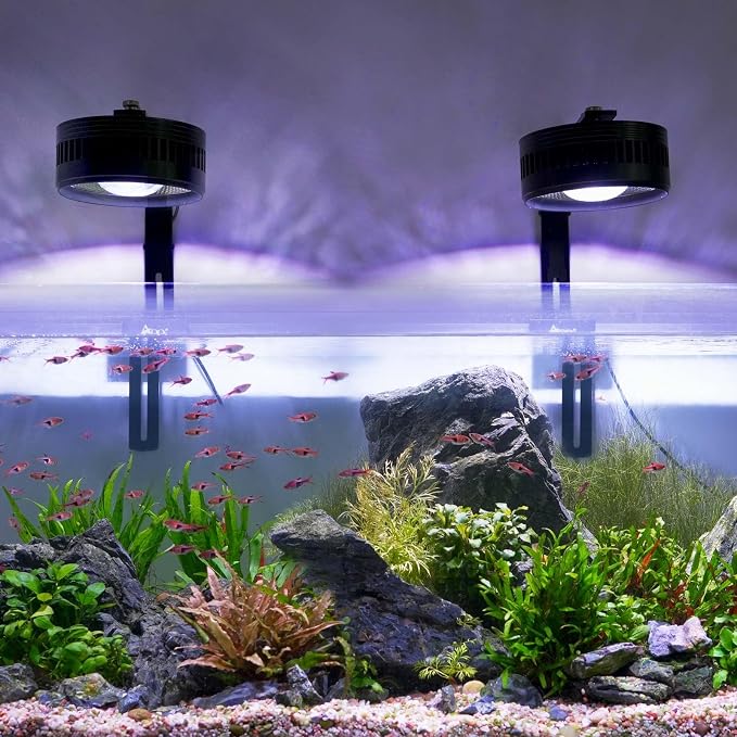 AQQA Clip-On Aquarium Light, Full Spectrum LED Fish Tank Stream Light | with 3 Modes (White/RGB/Full Spectrum), Timer & 6 Brightness Levels, Adjustable Clamp for Freshwater Plants Fish Tanks