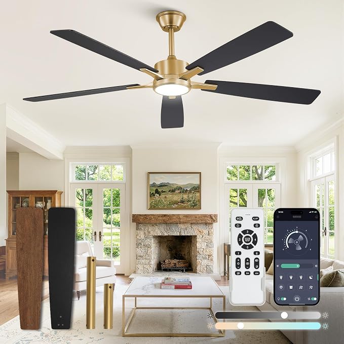 Fanbulous 60 Inch Black and Gold Ceiling Fan with Light Remote & APP | Stepless CCT & Dimmable Light, 20W LED Ceiling Fans, 6 Speeds, Reversible Quiet DC Motor, for Bedroom Living Room Apartment