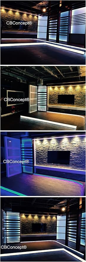 UL Listed, 3.3 Feet, 360 Lumen, 6000K Pure White, Dimmable, 110-120V AC Flexible Flat LED Strip Rope Light, 60 Units 3528 SMD LEDs, Indoor Outdoor Use, Accessories Included, Ready to use