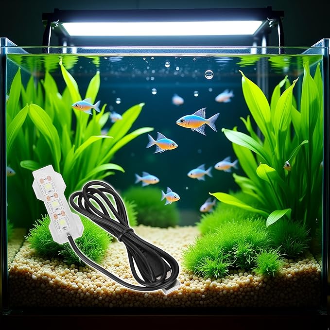 Jowxsx Blue Light Small Aquarium Led Light, Multicolor Led Fish Tank Light for Freshwater Plants Aquarium Accessories