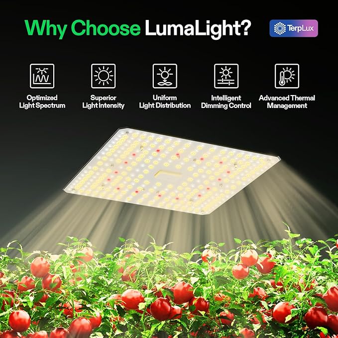 VIVOSUN VS1000 LED Grow Light with Full Spectrum Diodes & Sosen Driver Dimmable Lights Sunlike for Indoor Plants Seedling Veg and Bloom Lamps for 2x2/2x4 Tent