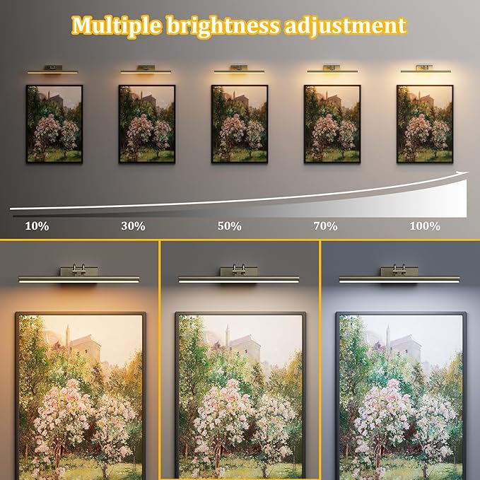 Picture Light for Wall, Antique Brass, 13.8", Remote Control | 4000mAh Cordless,Wall Light, Magnetic for Easy to Charge,Timers, Display for Gallery Living Room Bedroom