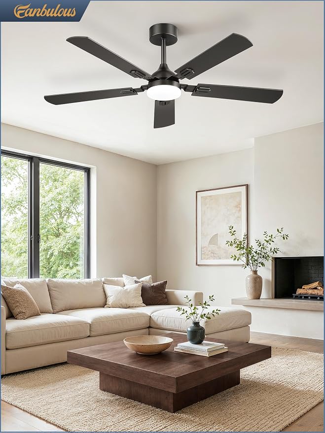 Fanbulous 52 Inch Modern Ceiling Fans with Lights | 6 Speeds,3CCT,Timer,Remote Control,Quiet Reversible DC motor,5 Double-sided Blades,Outdoor,Easy Installation,Black