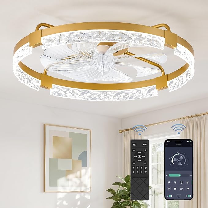 ZMISHIBO 24 Inch Ceiling Fans with Lights, Flush Mount Remote & App Control | 3CCT Dimmable LED, DC Motor, Bladeless, Reversible Blade, 6 Speeds, Modern, Low Profile, Enclosed, Bedroom, Kids, Girl, Adult