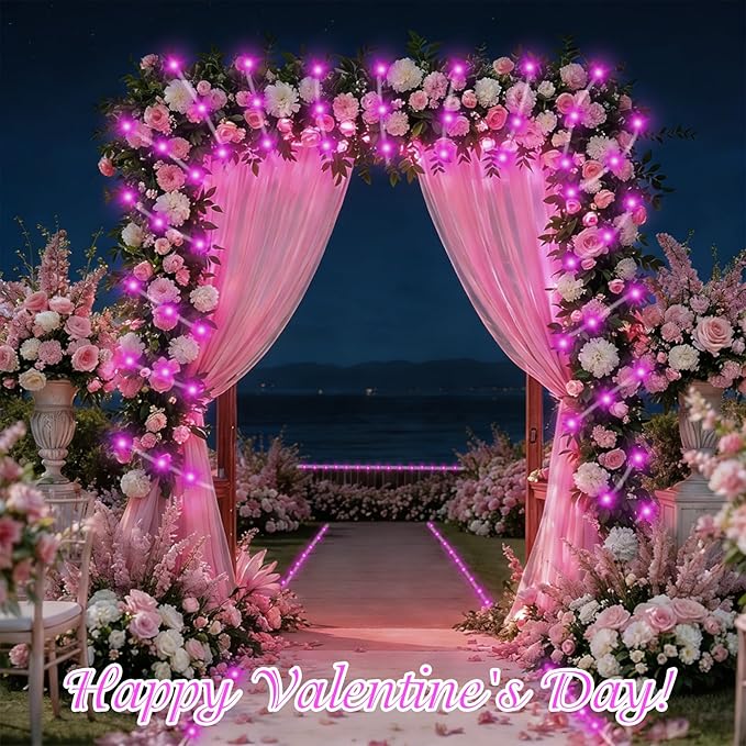QITONG Pink Solar Rope Lights Outdoor, 2 Pack Each 33ft 100 LED String Light, 8 Modes Fairy Lights in Clear Thin Tube with 8 Modes