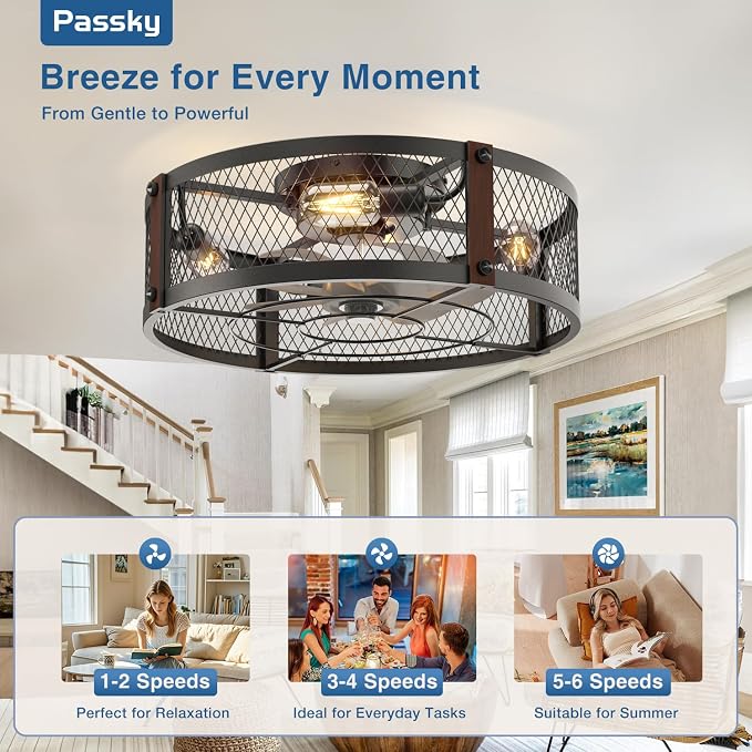 Passky 20" Caged Ceiling Fans with Lights and Remote, Low Profile Fandelier | Reversible DC Motor, 1/2/4H Timer, 6 Speeds, Farmhouse Style, Quiet Operation, for Bedroom, Kitchen, Dining Room, Living Room