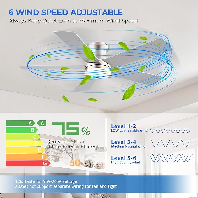Flush Mount Low Profile Ceiling Fans with Lights - Modern Ceiling Fan with LED Dimming, Timer, 6Wind Speeds, Indoor Fan Light Fixture for Bedroom, Kitchen, Nickel