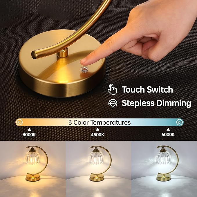 Set of 2 Tulip Table Lamp, 5200mAh Cordless Touch Control Table Lamp with 3 Color Temps & Stepless Dimming, Rechargeable Battery Table Lamp for Living Room, Bedroom, Shelf (Transparent Tulip)