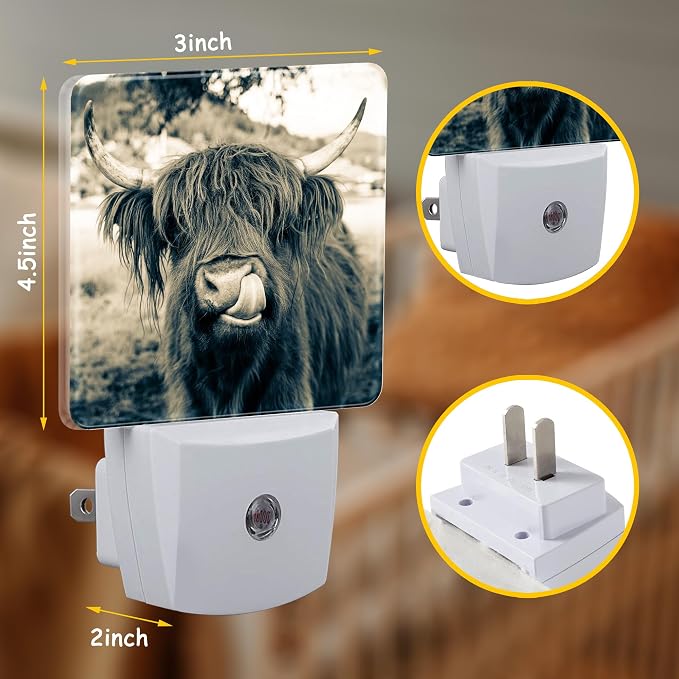 Night Light for Kids Girls Boys,Funny Dark Highland Cow LED Night Light Plug into Wall with Dusk to Dawn Sensor for Room Decor,Hallway,Kitchen,Bathroom,Nursery,Stairs