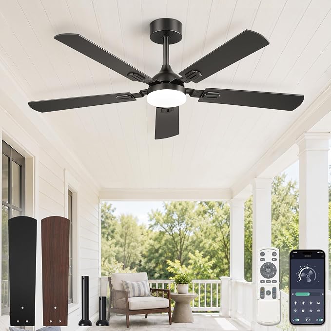 Fanbulous 52 Inch Modern Ceiling Fans with Lights | 6 Speeds,3CCT,Timer,Remote Control,Quiet Reversible DC motor,5 Double-sided Blades,Outdoor,Easy Installation,Black