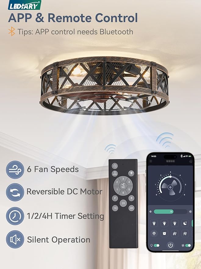 LEDIARY 20" Caged Farmhouse Ceiling Fan with Light, Flush Mount, Black Gold | Remote&APP Control, Small Low Profile, Rustic Fandaliers, Industrial Bladeless Enclosed, Powerful Motor for Bedroom, Kitchen