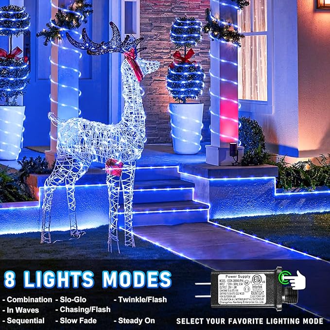 66FT 200 LED Rope Lights Outdoor Waterproof, Connectable Rope Lights for Outside with 8 Modes, Plug in Flexible String Lights for Indoor Garden Backyard Tree Patio Pool Tree Party Decorations - Blue