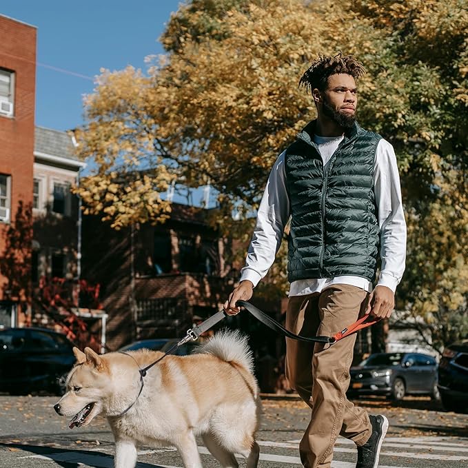 14" Dog Slip Collar – 5/32" Paracord Rope Dog Collar with Spring-Loaded Stopper & Stainless Steel O-Ring, Reflective for Low-Light Visibility (Light Blue & Purple)