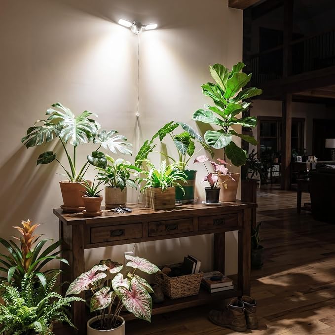 SANSI Wall Mounted Grow Light, 60W Dual Head Full Spectrum with Remote | 320° Wide Coverage, Programmable Timer, 4-Level Dimmable Brightness, 4000K Natural Light, IP54 Waterproof, for Indoor Plants
