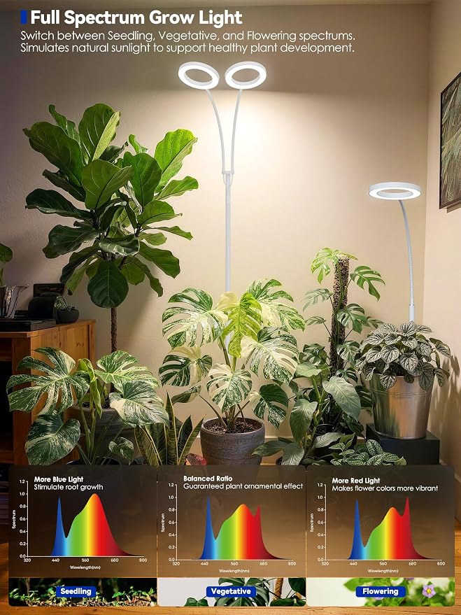 36W Grow Lights for Indoor Plants,Full Spectrum LED Plant Light with Stand | Dual Heads, Adjustable Height and Angle, 3/9/12H Timer, Dimmable, 3 Modes Floor Plant Growing Lamp for Indoor Growing, White