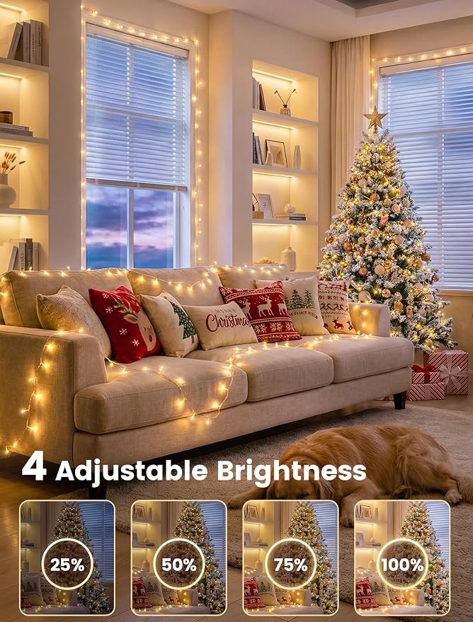 98FT 200 LED Warm White Christmas Fairy Twinkle String Lights Indoor | Remote Control, 8 Modes with Memory, 4 Dimmable Brightness, 3 speed levels, Connectable, IP65 Waterproof, Transparent Wire