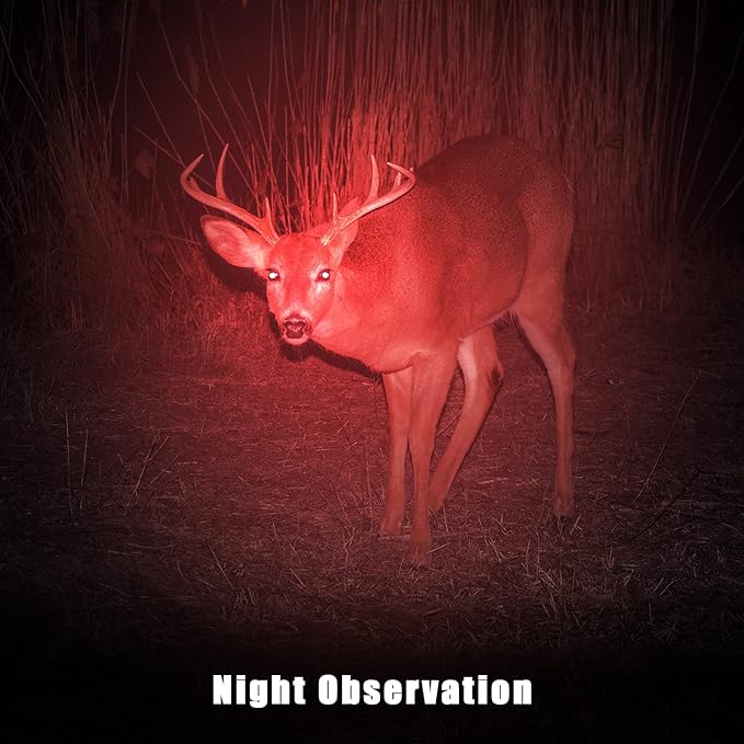 Honoson 10 Pieces Red Light Flashlight LED Single Mode Torch 1 Mode Scalable Red Lens Filter Flashlight for Night Astronomy Aviation Observation Beach Turtle Safe
