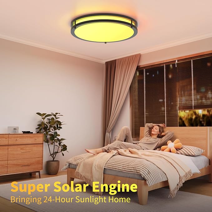 Ceiling Lights Flush Mount with Remote: LED Black Ceiling Lighting 8 Modes Dimmable Color, Adjustable Temperature for Bedroom, Living Room, Kitchen (16 Inch)