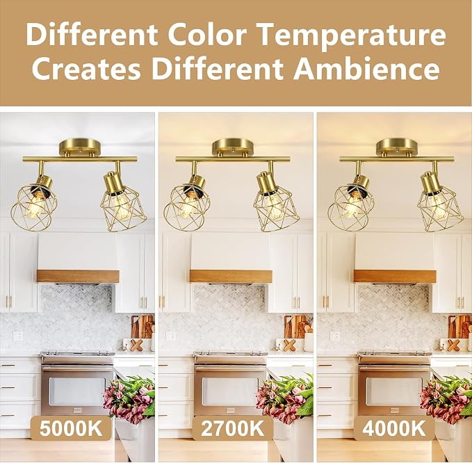 Baocuz 2-Lights Kitchen Track Lighting Ceiling, Adjustable Multi-Directional Gold Ceiling Light Fixtures, Rotatable Farmhouse Light Fixtures Ceiling Mount with Metal Cage for Dining Room, Living Room