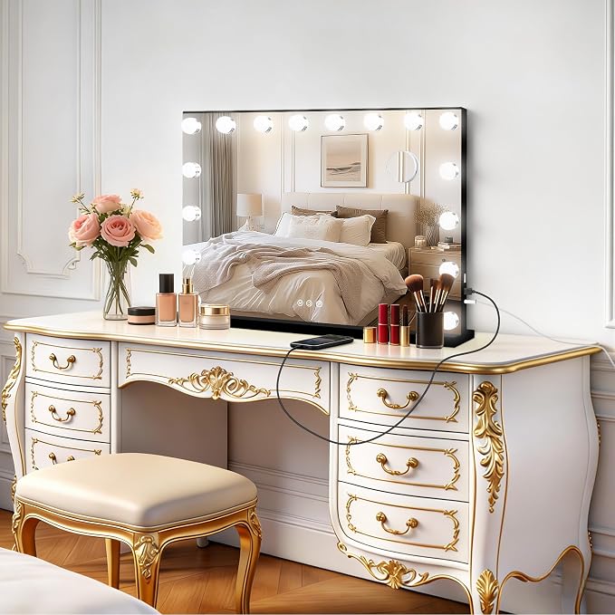 Moonee Vanity Mirror with Lights, Black Hollywood Lighted Makeup Mirror with 17 Dimmable Bulbs and 10X Magnification, 3 Colors Modes, Aluminum Metal Frame, Light Up Mirror for Tabletop/Wall（26" x 20"）