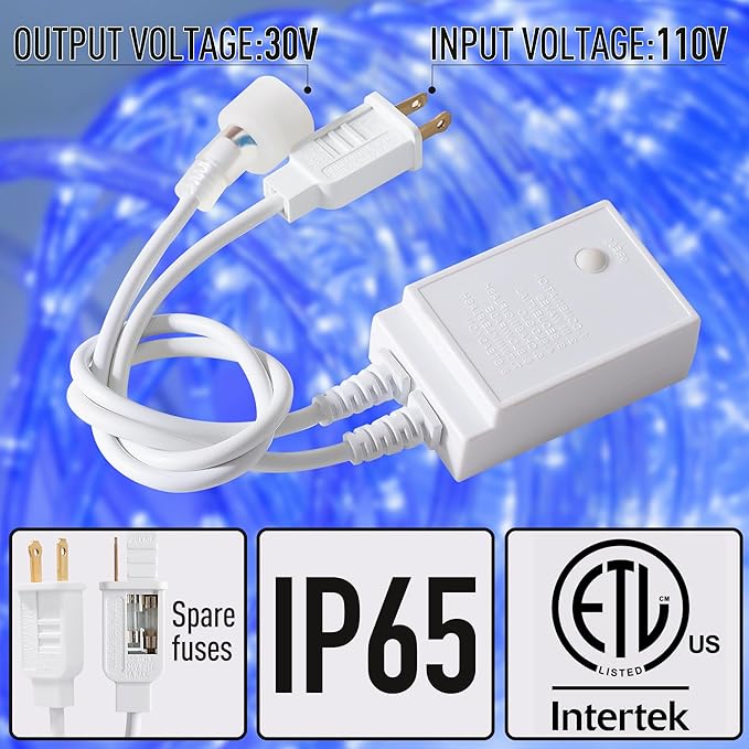 Waterproof LED Rope Lights, Connectable & Flexible with 8 Modes, Outdoor Lighting for Deck, Garden, Pool, Patio & Christmas Decor (Blue, 100ft)