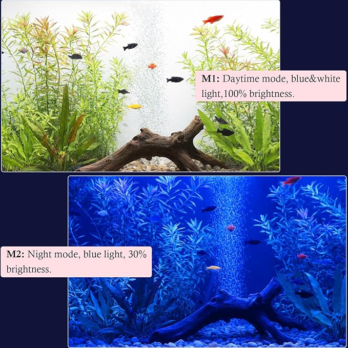 Dirvin LED Fish Tank Light with Timer, 24/7 Mode & 3 Color Aquarium Light | Submersible Adjustable Brightness, IP68 Waterproof, Sunrise-Daylight-Moonlight, Auto On/Off for fresh and salt water, 8W
