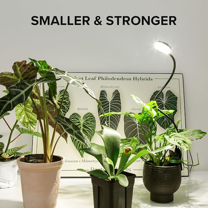 Mini Clip Grow Light for Indoor Plants, small grow light Full Spectrum | 4-level dimmable 4000K full spectrum LED clip grow light for indoor plants,Flexible 20-inch gooseneck with anti-slip clamp