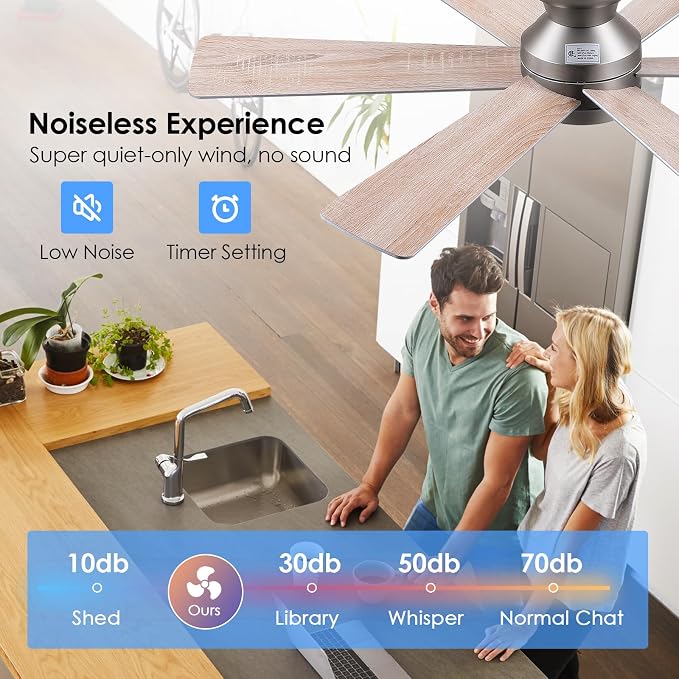 Asyko 46" Silver 6-Blade Modern Low Profile Ceiling Fan with Light & Remote | 6 Double-Sided Blades,6 Wind Speeds, Reversible,Dimmable 3 CCT LED Light, 25W Quiet DC Motor,1/2H Timer,for Bedroom Kitchen